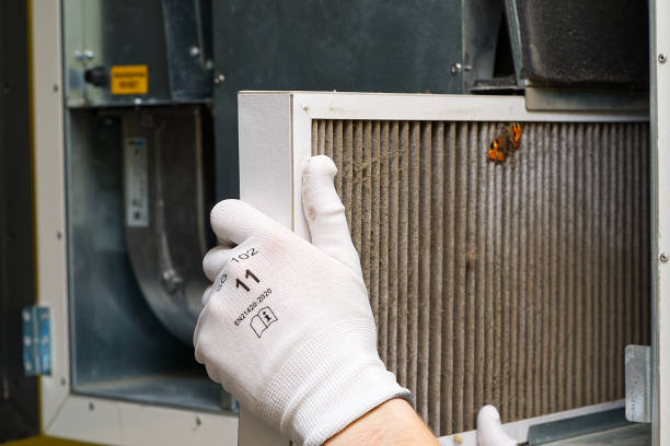 Best Air Duct Mold Removal  in Clarence Center, NY