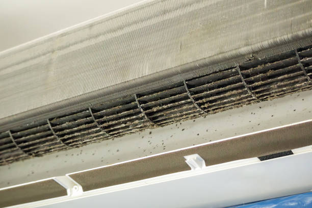 Best Emergency Air Duct Cleaning  in Clarence Center, NY